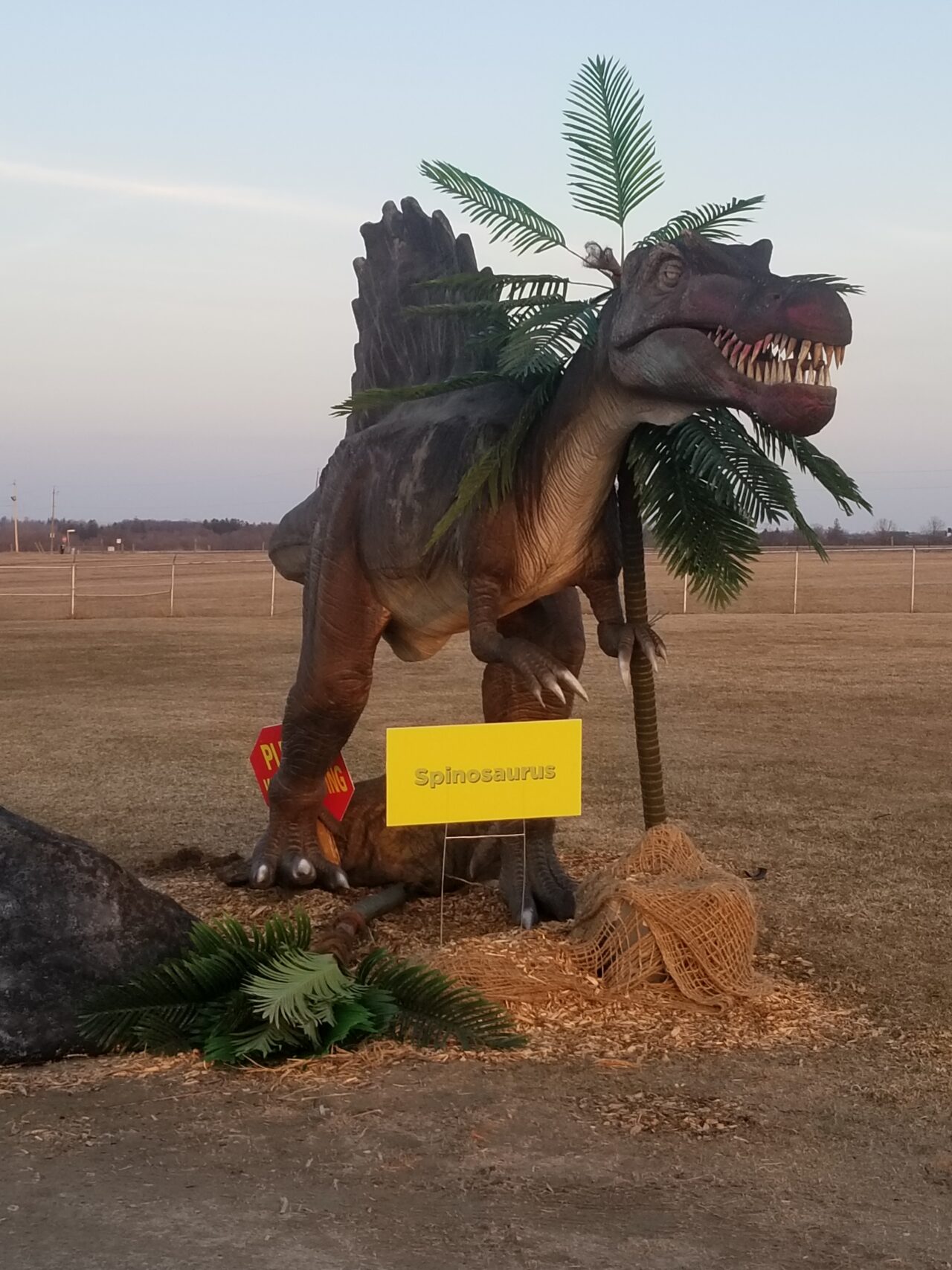 Dinosaurs Astro Amusements TorontoBased Carnival Midway Ride Rentals